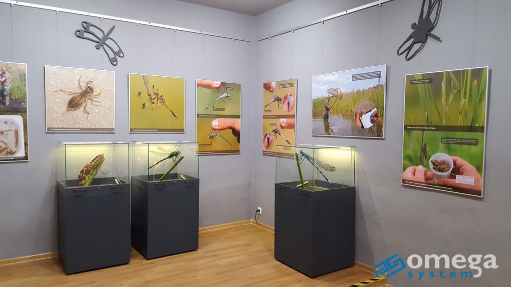 System do podwieszania obrazów – stwórz własną galerię sztuki
