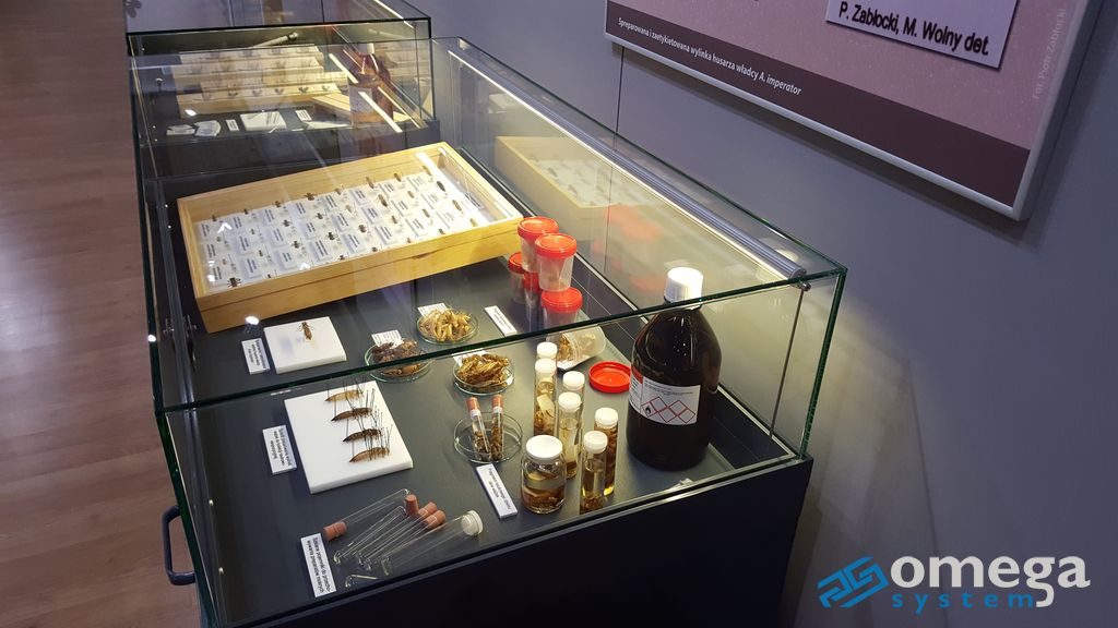 5 najważniejszych cech bezpiecznej gabloty muzealnej – praktyczny przewodnik